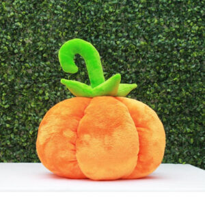Plushkins Pumpkin, Premium Orange Soft Toy For Kids.